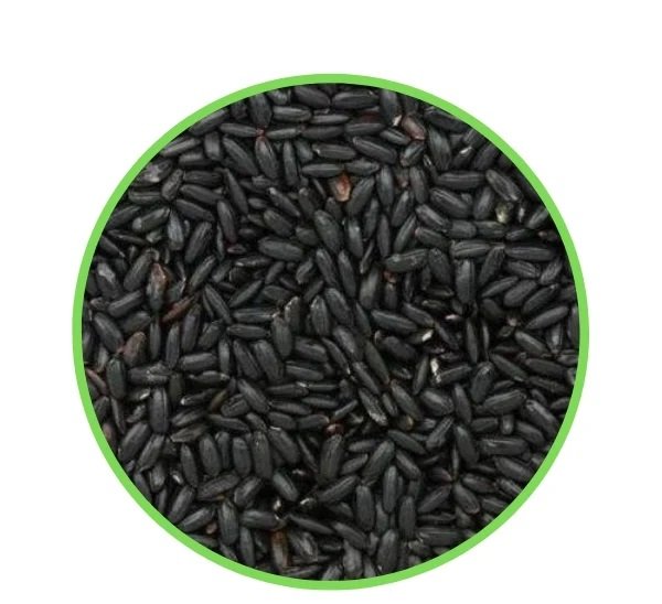 Black Rice (Gạo nếp cẩm) (1kg) 黒米