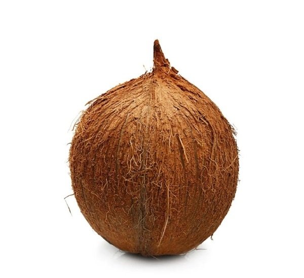 Fresh Old Coconut Whole with Water (1pcs)