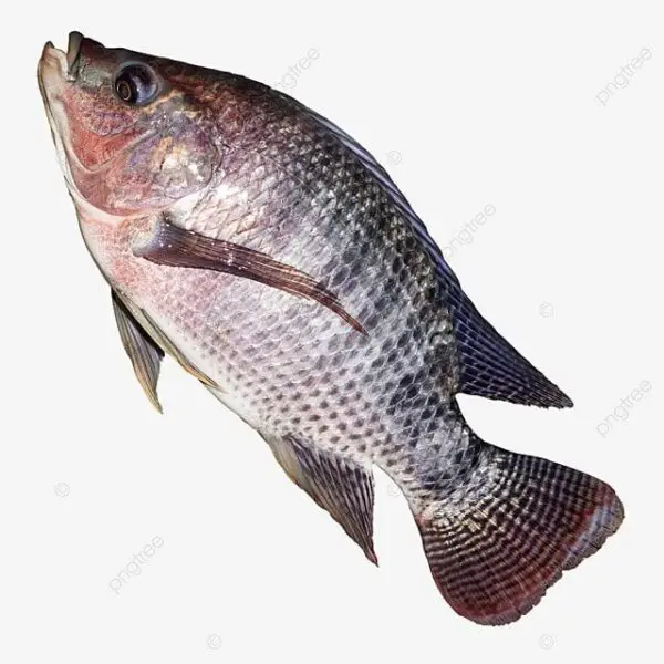 telapia 1kg packet 3pieces