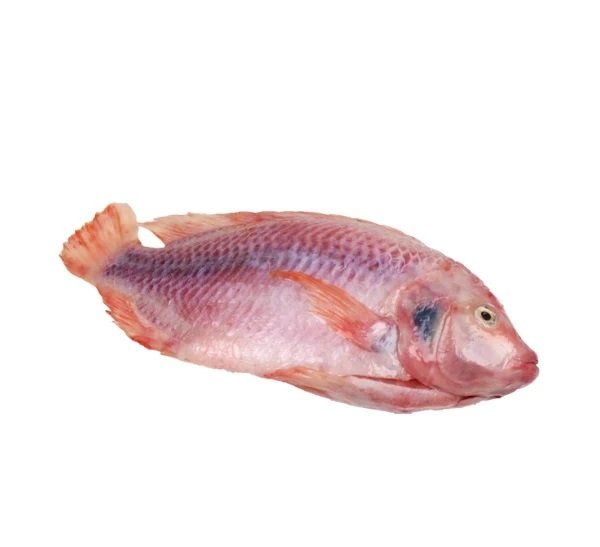 Tilapia Whole 3p (1kg)